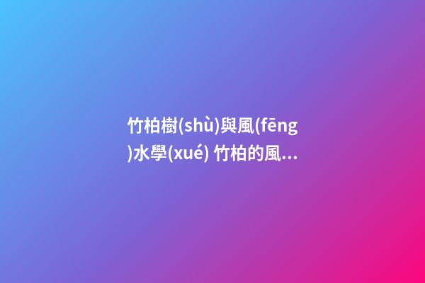 竹柏樹(shù)與風(fēng)水學(xué) 竹柏的風(fēng)水禁忌有哪些